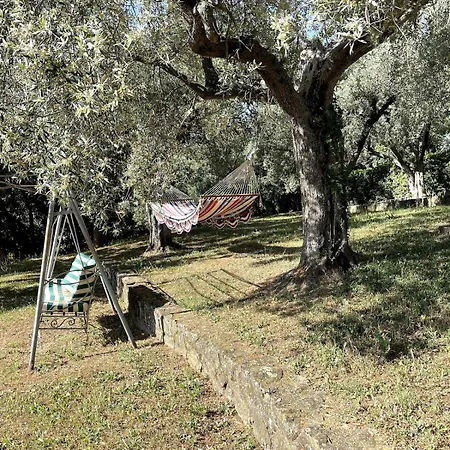 Apartment Paradiso - Piscina, Parcheggio E Privacy *