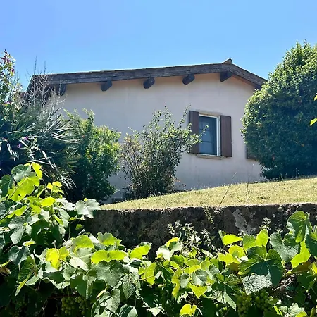 Paradiso - Piscina, Parcheggio E Privacy Apartment